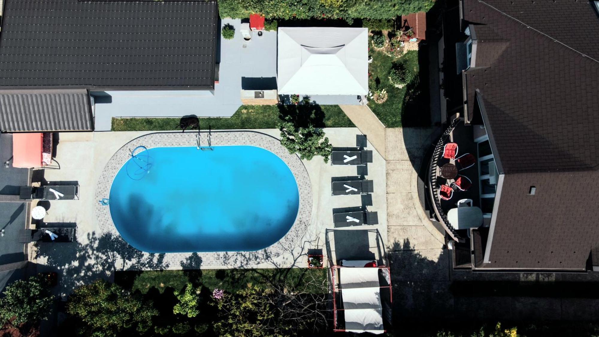 Lux Apartments With Pool Dex Zemun Polje Екстер'єр фото