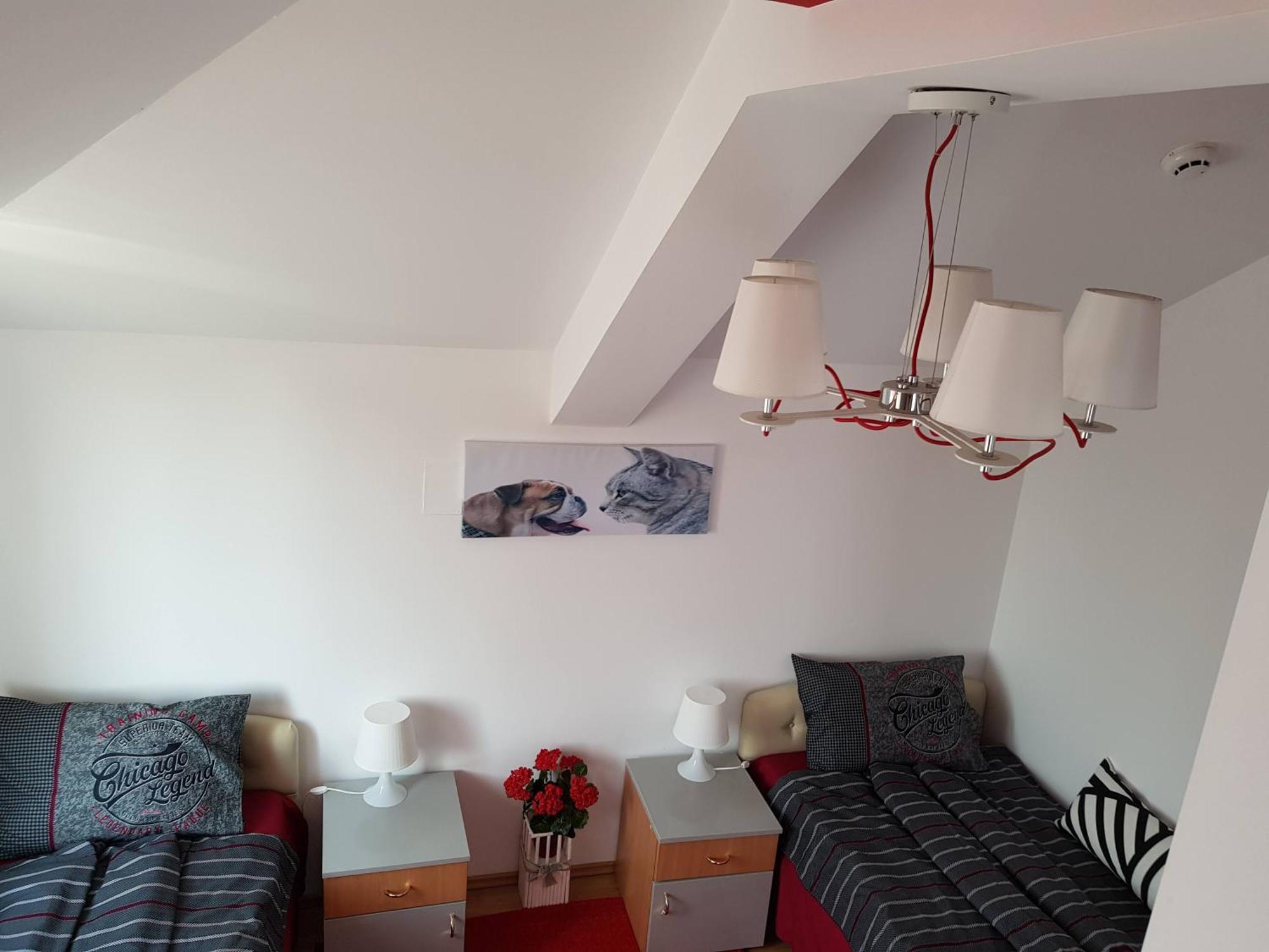 Lux Apartments With Pool Dex Zemun Polje Номер фото